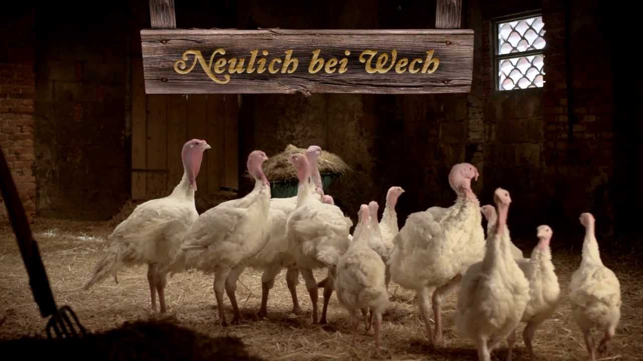 WECH Werbespot "Die Adresse"