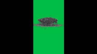 green screen tanah hancur