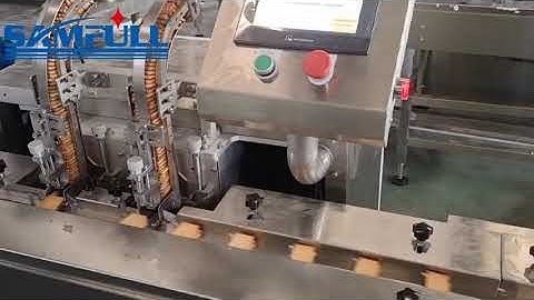 Fully automatic biscuit cracker high speed packing machine, biscuit hffs flow wrap machine