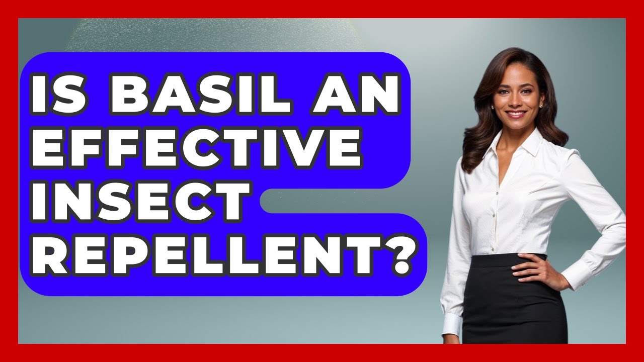 Is Basil An Effective Insect Repellent? - Insects and Invaders