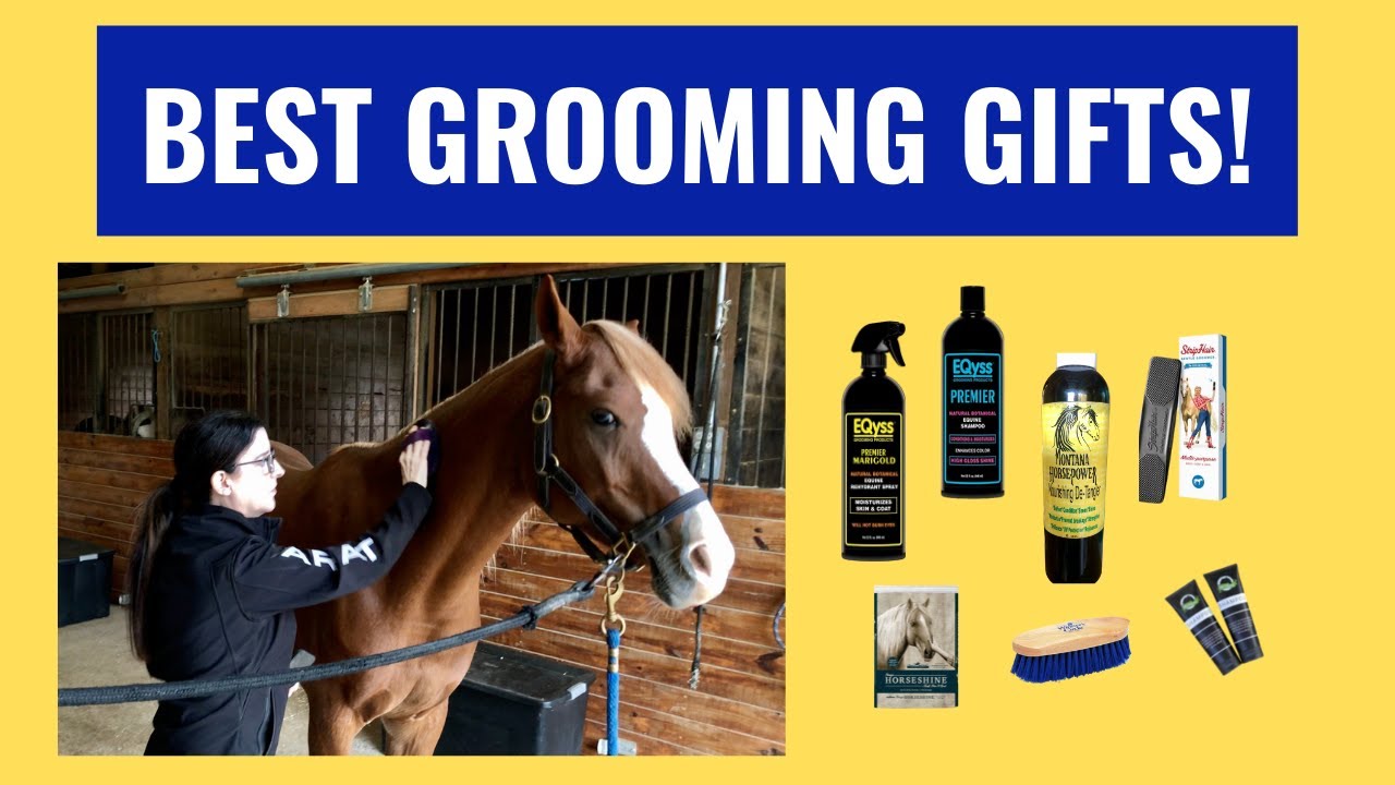 Best Grooming Gifts for Horse Owners (Horse Health Buyers Guide)