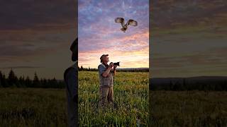 Nature Photography Photographing Owls in Flight in Canada with the Sony A1 📷🦉#falcon #eagle #birds