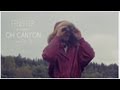 Fenster: Oh Canyon