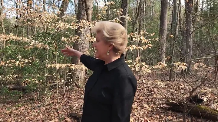 Patricia Padgett Kilgore explains location of prim...