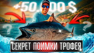 видео: Как поймать голубого тунца - мой метод! ► Секрет ловли трофея раскрыт? ► Морская рыбалка Турция 2025 картинка: Как поймать голубого тунца - мой метод! ► Секрет ловли трофея раскрыт? ► Морская рыбалка Турция 2025