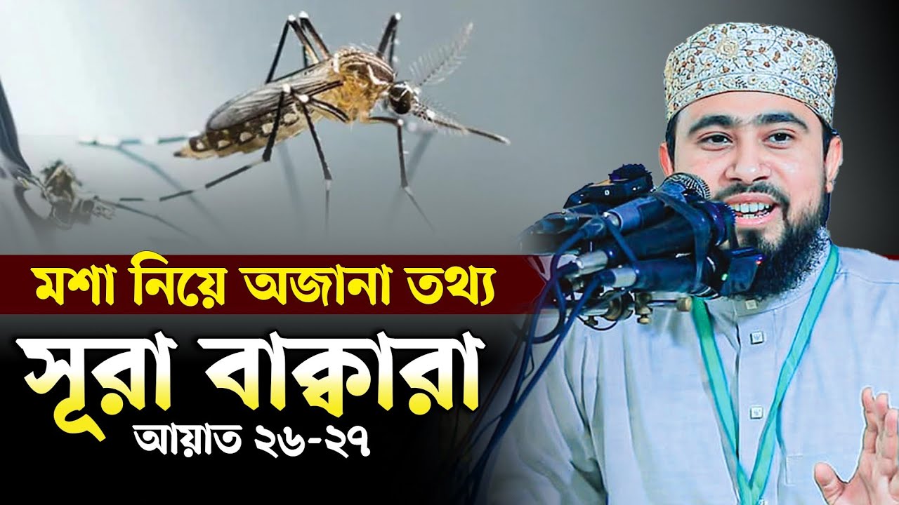 মশা সম্পর্কে বৈজ্ঞানিক তথ্য । সূরা বাক্বারা আয়াত ২৬-২৭ (পর্ব -০৮)। M Hasibur Rahman New Bangla waz