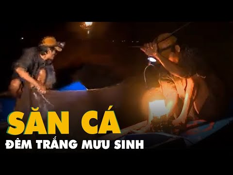 Video Túi cá trời khổng lồ Hồ Dầu Tiếng - Tập 2 - Săn Cá... - youtube