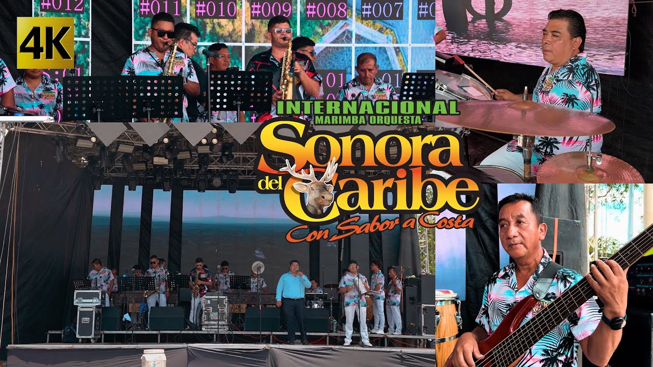 Marimba Orquesta Sonora Del Caribe - Concierto De Sones 4K