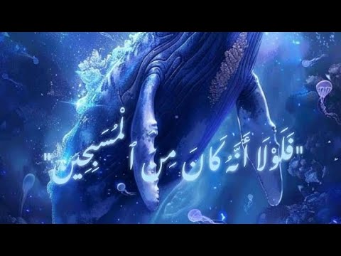 لل ه در سكينة القرآن استمع واعتزل الغم سورة الصافات كاملة القارئ شريف مصطفى تلاوات
