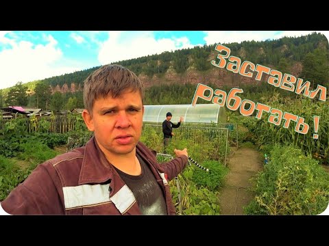 Друг приехал погостить. Делаем ремонт и копаем картошку.