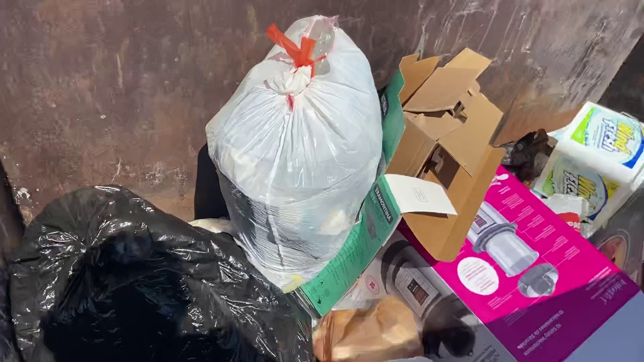 I’m Dumpster Diving Again! And it Was Fun! YouTube