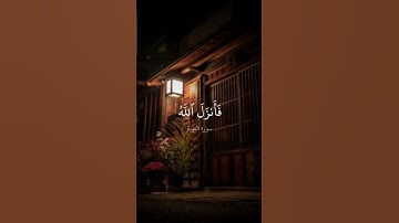 سورة التوبة / عمر ضياء الدين