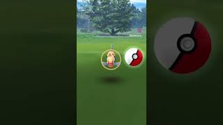 Another Zorua Zorua Always Pops As Your Buddy Pokémon