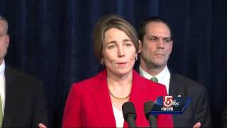 Healey announces new task force in opioid abuse fight