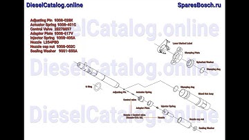 R04301D Injector Common Rail DELPHI (TATA)