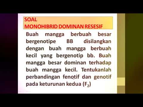 Video: Gen dominan dan resesif yang manakah?