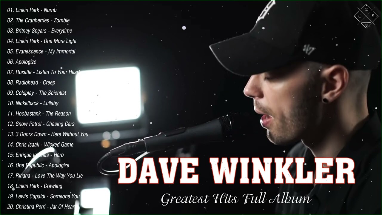 The Best Of Dave Winkler 2022 - Dave Winkler Greatest Hits Full Album
