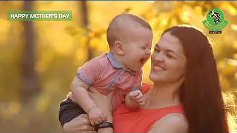 Celebrating the Unsung Heroes