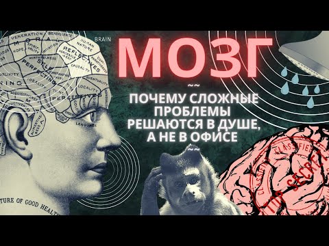 Инструкция к Мозгу - Часть 1: «Фокусированное и Креативное мышление (Диффузное)»