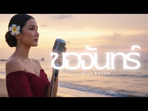 ขอจันทร์  - ชะบา 【 Cover Ver. ซอ ดนตรีร่วมสมัย 】Original :วิยะดา โกมารกุล ณ นคร  #เพลงไทยร่วมสมัย