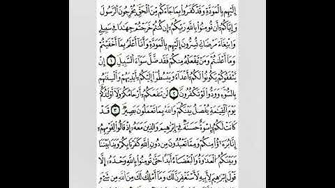 سورة الممتحنة رواية ورش _ ڨعفازي مروان