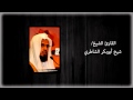 من روائع تلاوات الشيخ شيخ أبوبكر الشاطري سورة الشورى من روائع تلاوات الشيخ شيخ أبوبكر الشاطري سورة الشورى