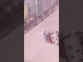 リア充さんはいいですねー 生活音 コスメ ばずれ リア充さんはいいですねー 生活音 コスメ ばずれ