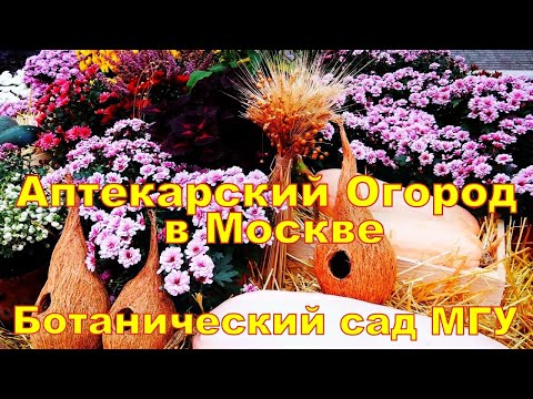 Video: Botanischer Garten der Staatlichen Universität Moskau 