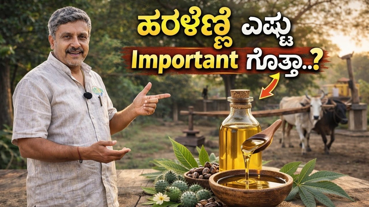 ಹರಳೆಣ್ಣೆ ಎಷ್ಟು Important ಗೊತ್ತಾ..? | Castor Oil Benefits | desiri naturals