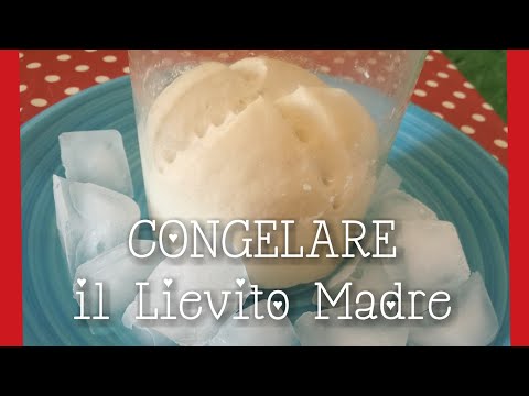 Video: Come Congelare Il Lievito