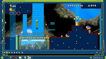 New Super Mario Bros Wii Custom Level