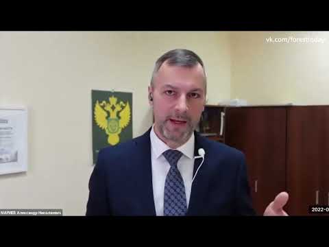 Семинар по ЛесЕГАИС  - разбор недостатков системы, Мариев, Рослесхоз, лесное законодательство