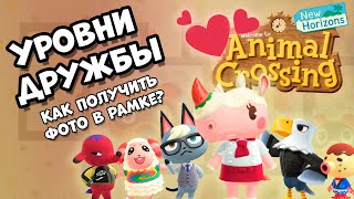 Как поднять уровень дружбы и получить фото в рамке жителя острова Animal Crossing: New Horizons (0+)