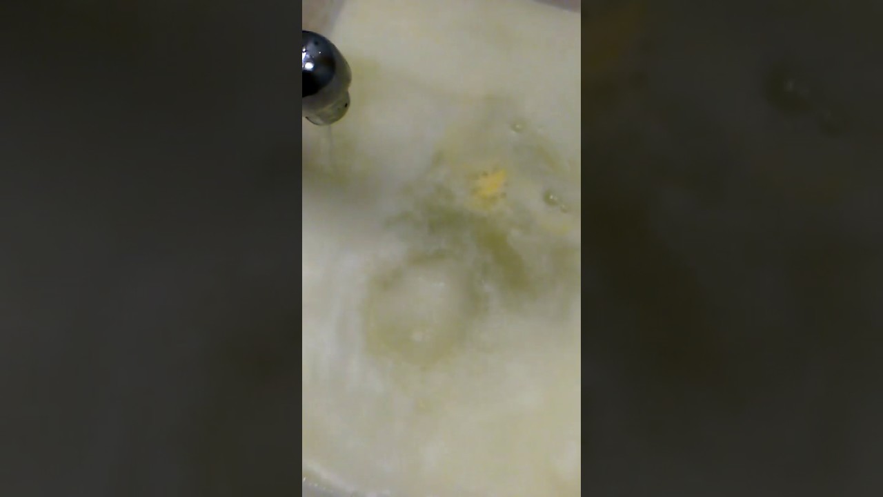 Seashell Bath Fizzie