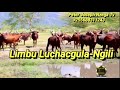 Limbu Luchagula - Ngili (Official Music Audio 2021)