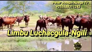 Limbu Luchagula - Ngili ( Music Audio 2021)