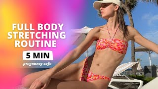 Stretching Routine Exercises Full Body 5 Minutes Pregnancy Safe Nina Dapper