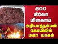 Red Chillies Worship | 500 கிலோ மிளகாய் - அரியாத்தம்மன் கோயிலில் மகா யாகம்