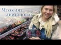 Правильное питание: продуктовая корзина диетолога. ВЛОГ.