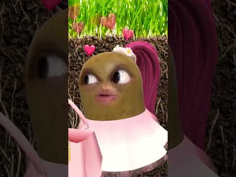 مره جبت كلب 