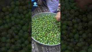 Koruk Şurubu Nasıl Yapılır Pekmez Nasıl Yapılır