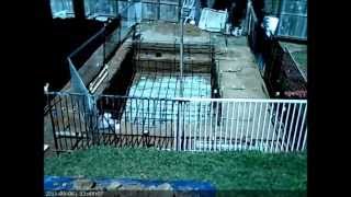Day 2 - RLO Pool Construction - Inground Concrete Pool in Cairns