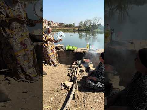 حنان مشنتفه البط