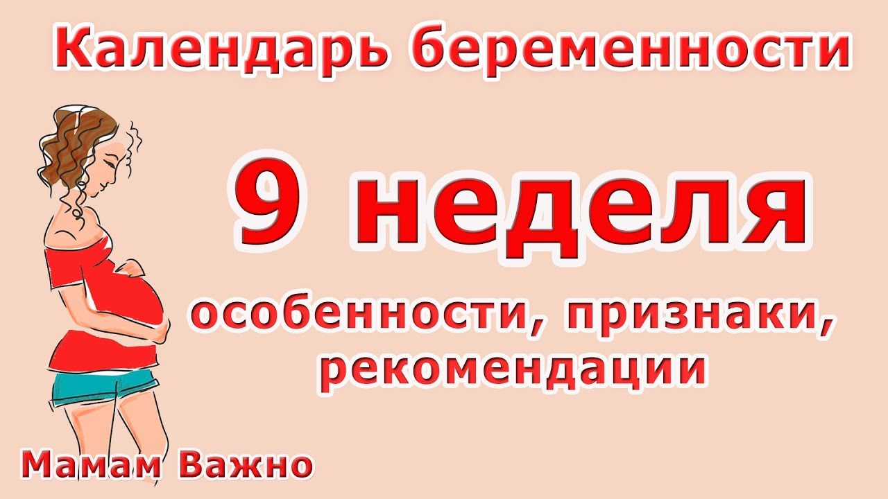 9 неделя беременности: признаки, особенности, рекомендации