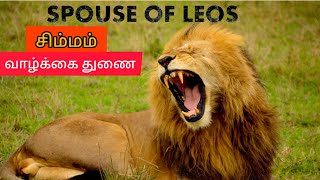 சிம்ம லக்கின வாழ்க்கை துணைSpouse of Leo Lagna