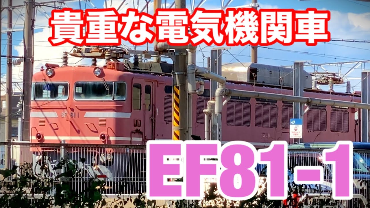 貴重なEF81-1を拝みに富山へ！