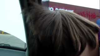 Competition hairtrick Two with Cody at Audio Designs in Winona, Mn.