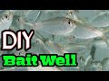 DIY bait livewell .