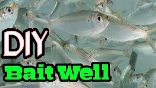 DIY bait livewell .