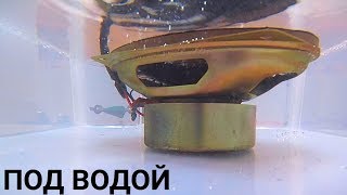 ПОД ВОДОЙ НАВАЛИЛ БАС - Я В ШОКЕ